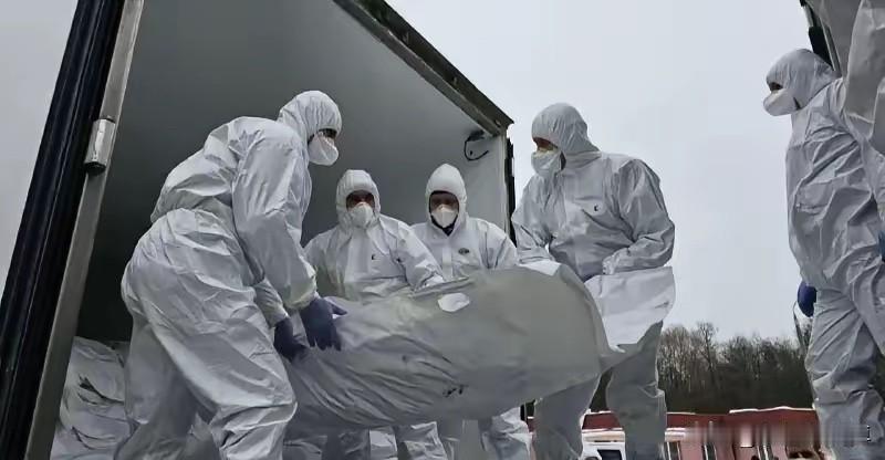 俄乌双方今天又进行了阵亡军人遗体交换，俄方仍然是交给乌方1000具乌军阵亡军人遗