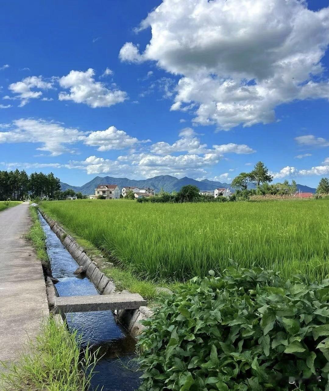如何用一句名言来概括你的旅游心得一直很喜欢这句话：世界是一本书，不旅行的人只读了
