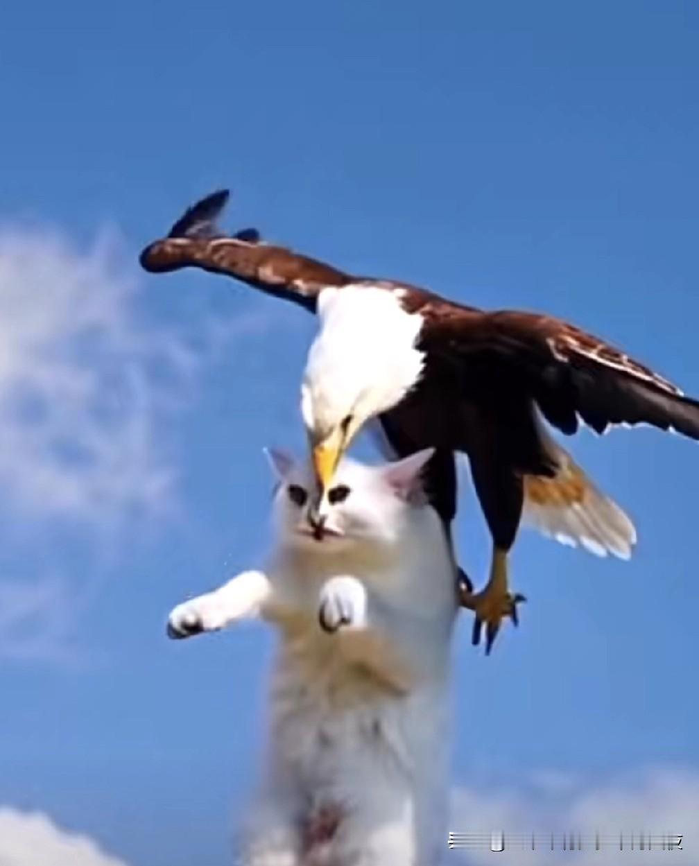 又来一道催命的“符”。
特朗普称正在考虑对伊朗进行有限打击。
边打边谈，逼其就范