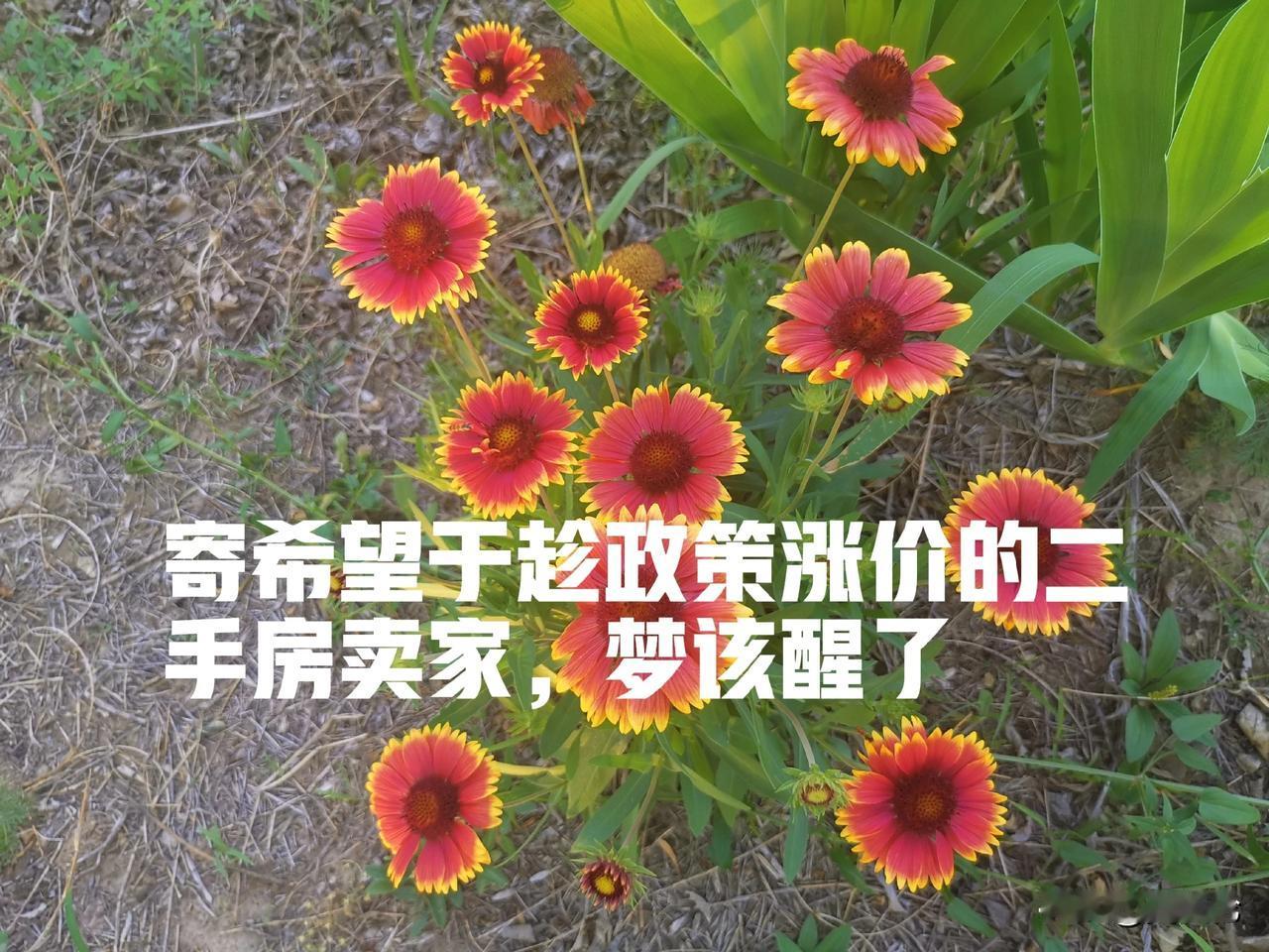 【那些寄希望于趁政策涨价的二手房卖家，梦该醒了】

近期，北京二手房市场出现了一