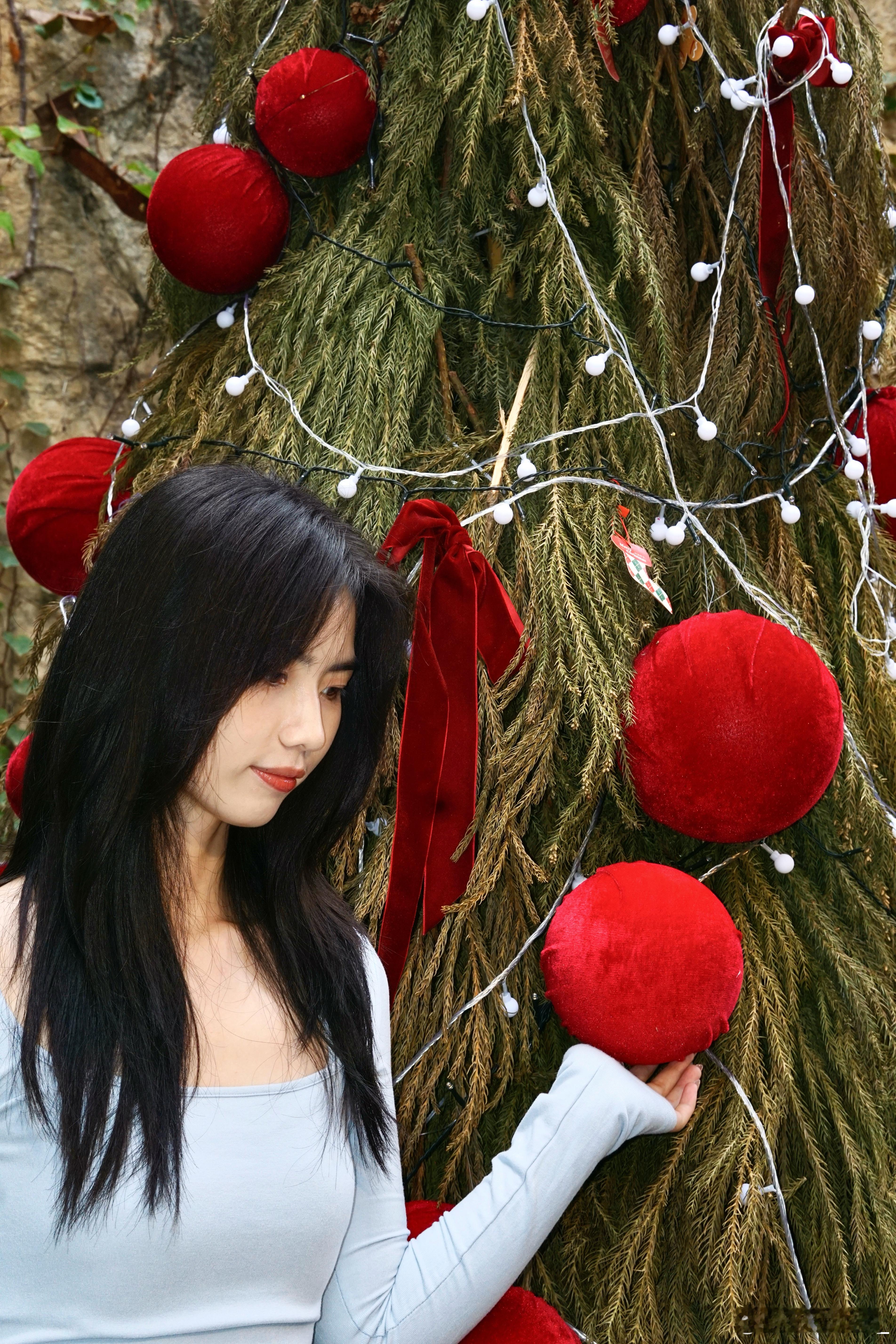 变成圣诞树圣诞月