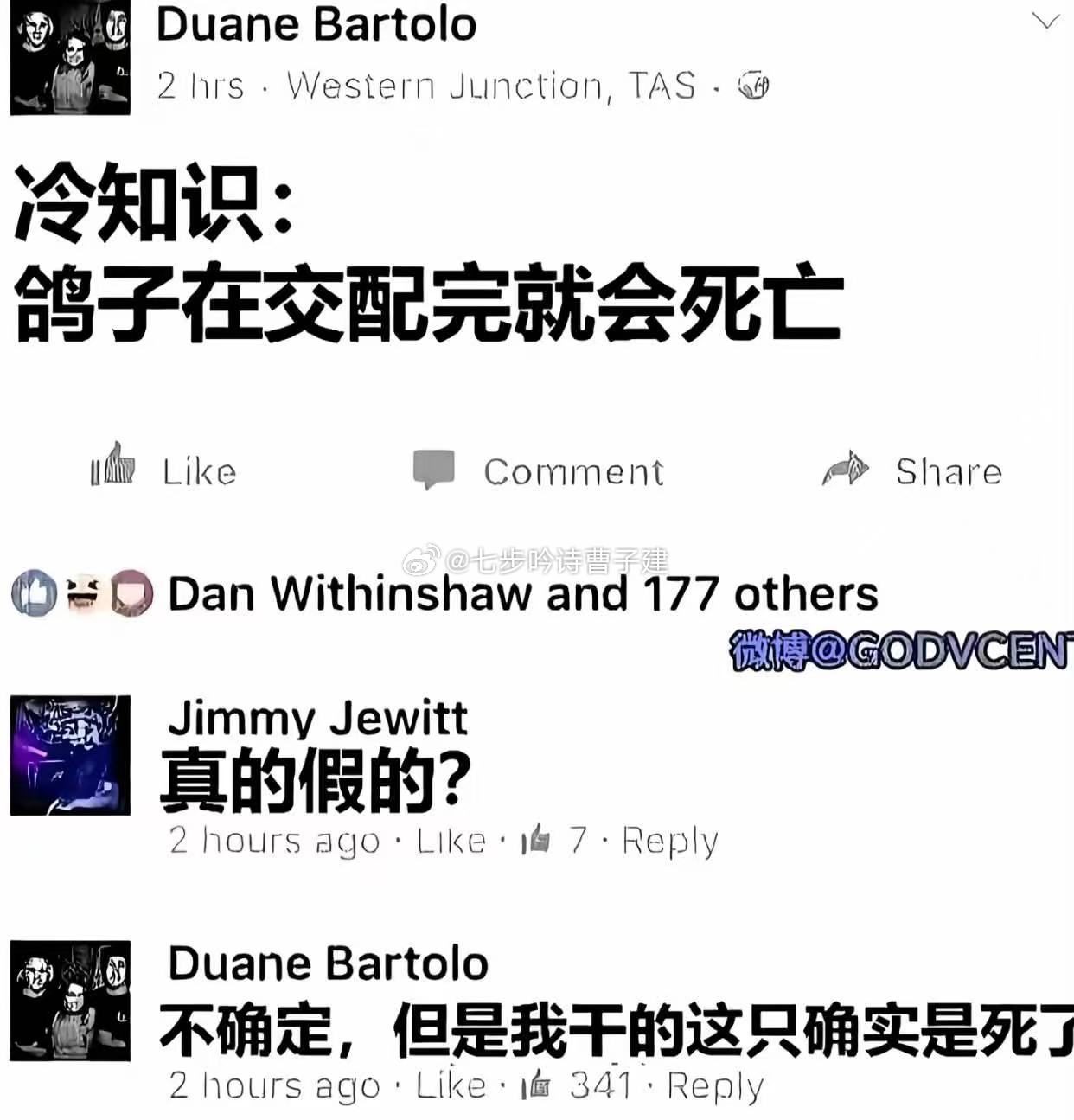 你把giegie怎么了