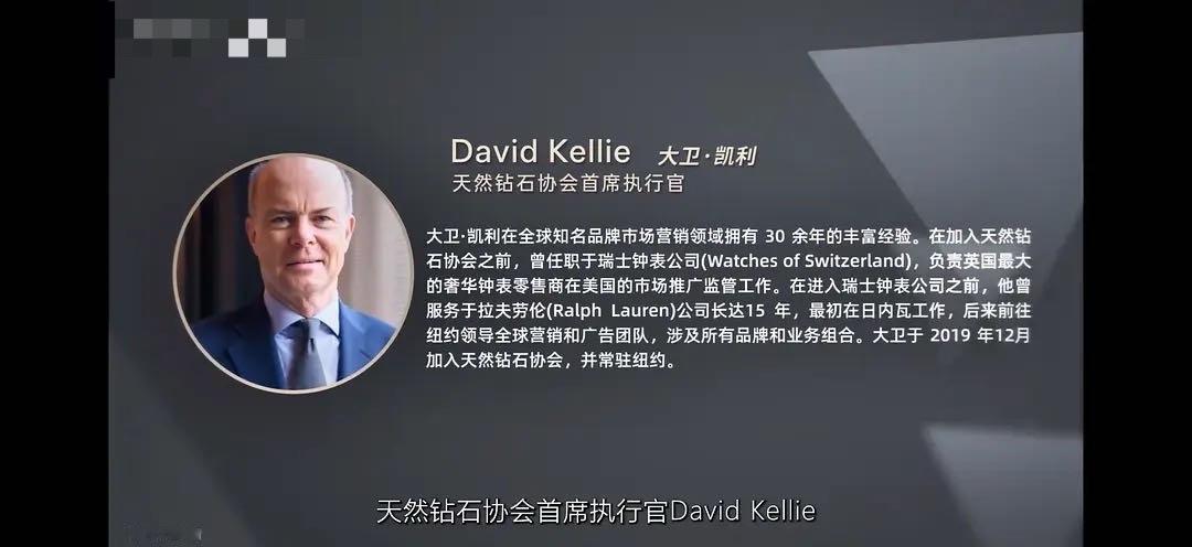 天然钻石协会首席执行官夸赞邓为邓为的气质确实很符合啊，难怪首席执行官评价这么高[