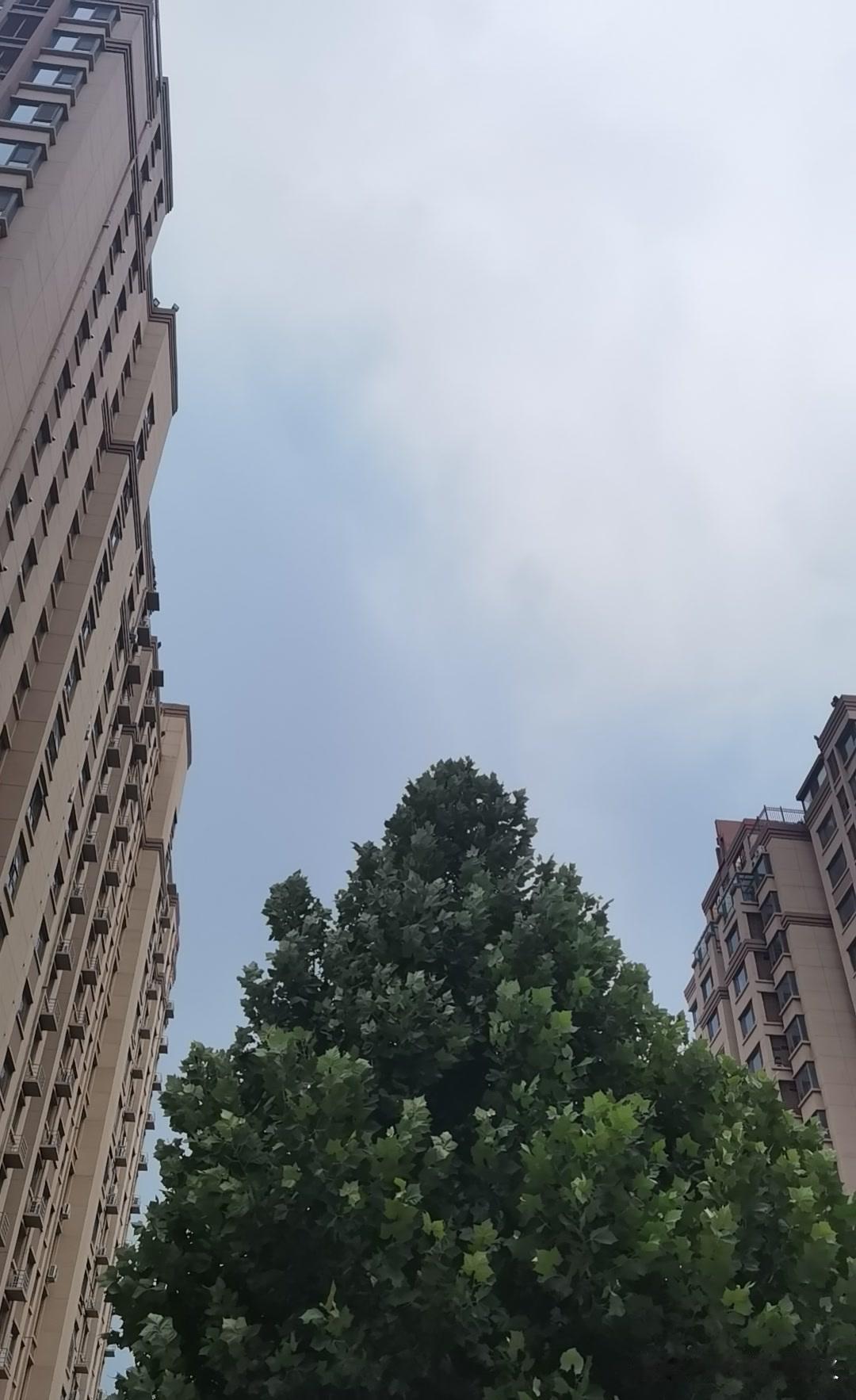 石家庄这几天真把人烤得没脾气了，楼下遛弯的阿姨都在问，雨到底啥时候来。昨晚刚听见