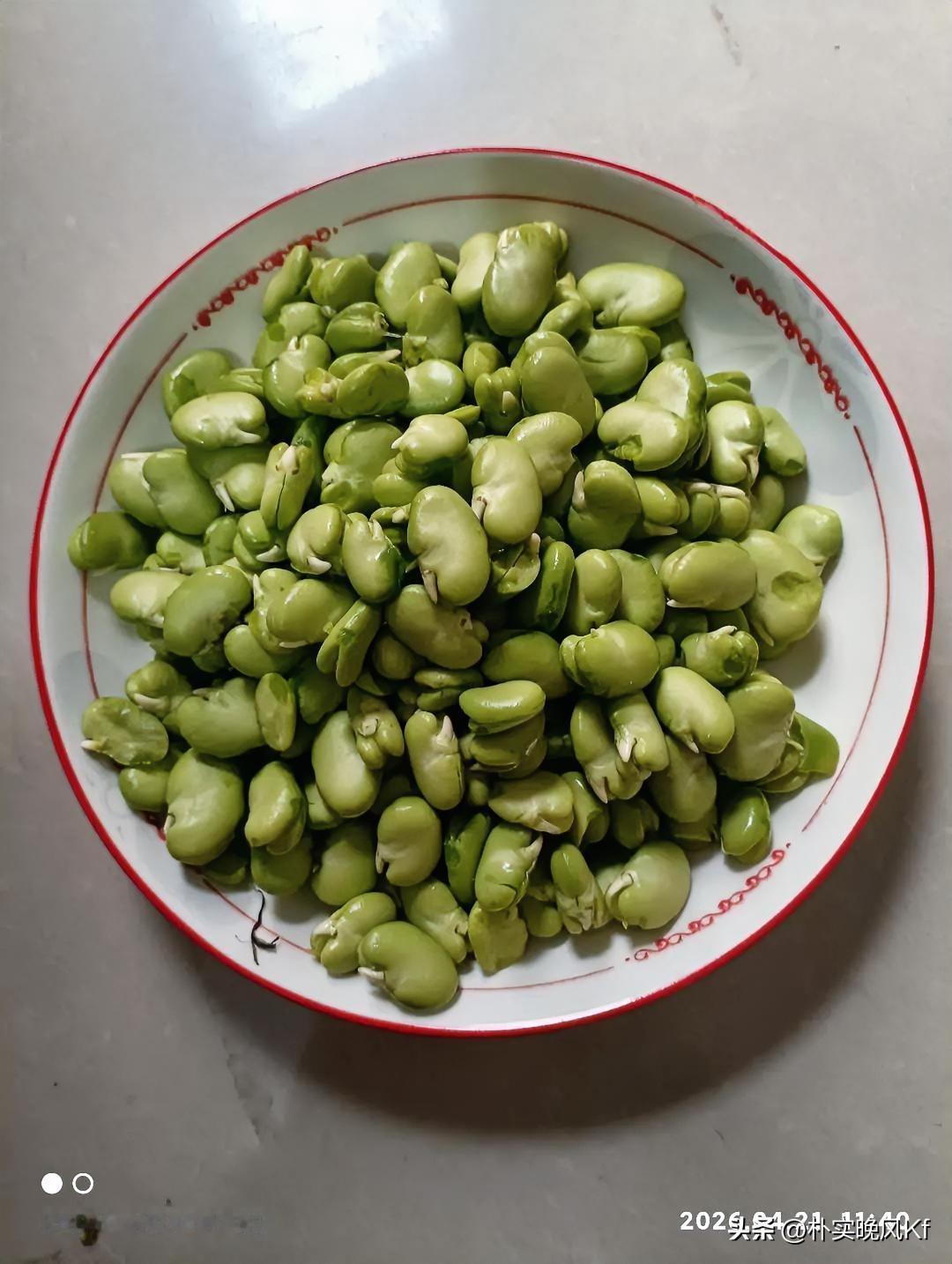 现在蚕豆上市啦，我剥了一上午皮，就为炒白花酸菜这特色菜。这蚕豆鲜嫩软糯，高钙又高