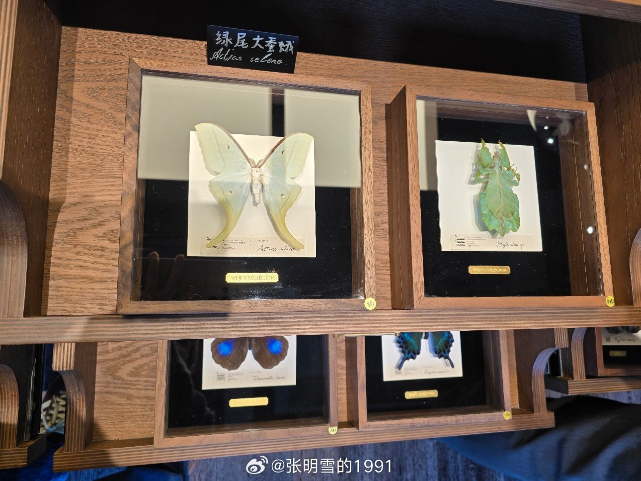 我们在夏天里无所事事 