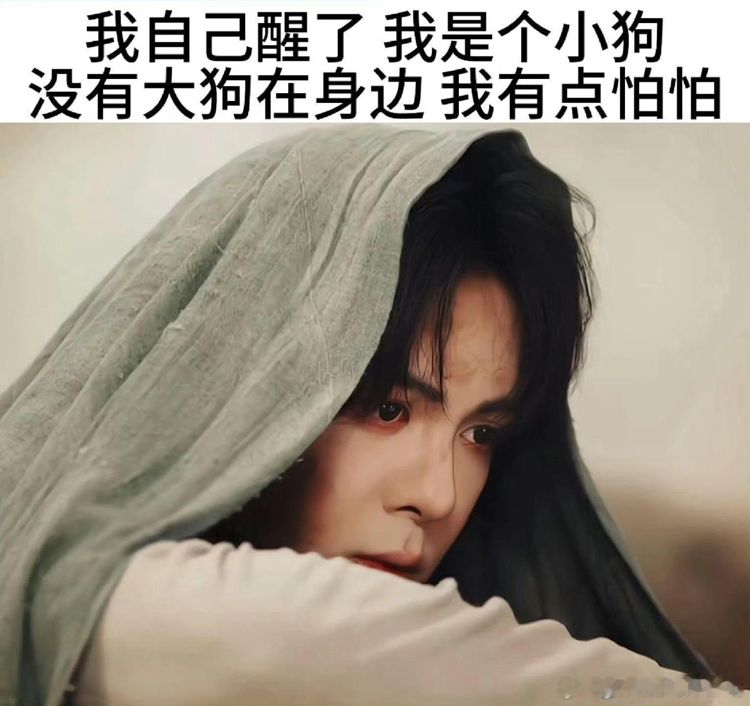 张启山对吴老狗说我带你回家佛爷守住了承诺，却没能守住吴老狗的记忆，明明人就在眼前