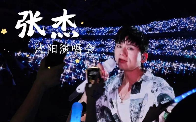 想出名都想疯了

网上爆料一位普通家庭的女子为了在《星光大道》上一举成名，拿出家