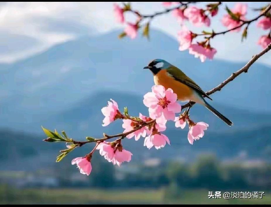 男人找对象和女人找对象肯定是想法不一样。如果是女人找对象，首先得看事业，然后才能