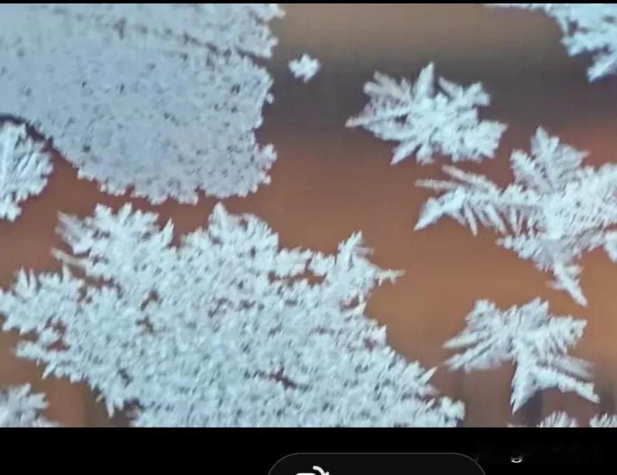 无题
赵权力
拾不起来的惆怅
从没有经历分离痛楚
霎那间，山崩地裂
一瓣瓣白花湿