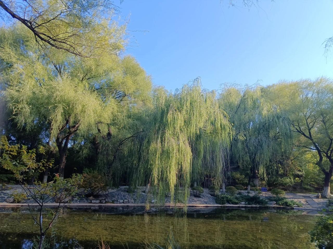 有收益就意味着是一种进步，账号粉丝猛涨也是好事，接近成功！一起努力，加油💪[比