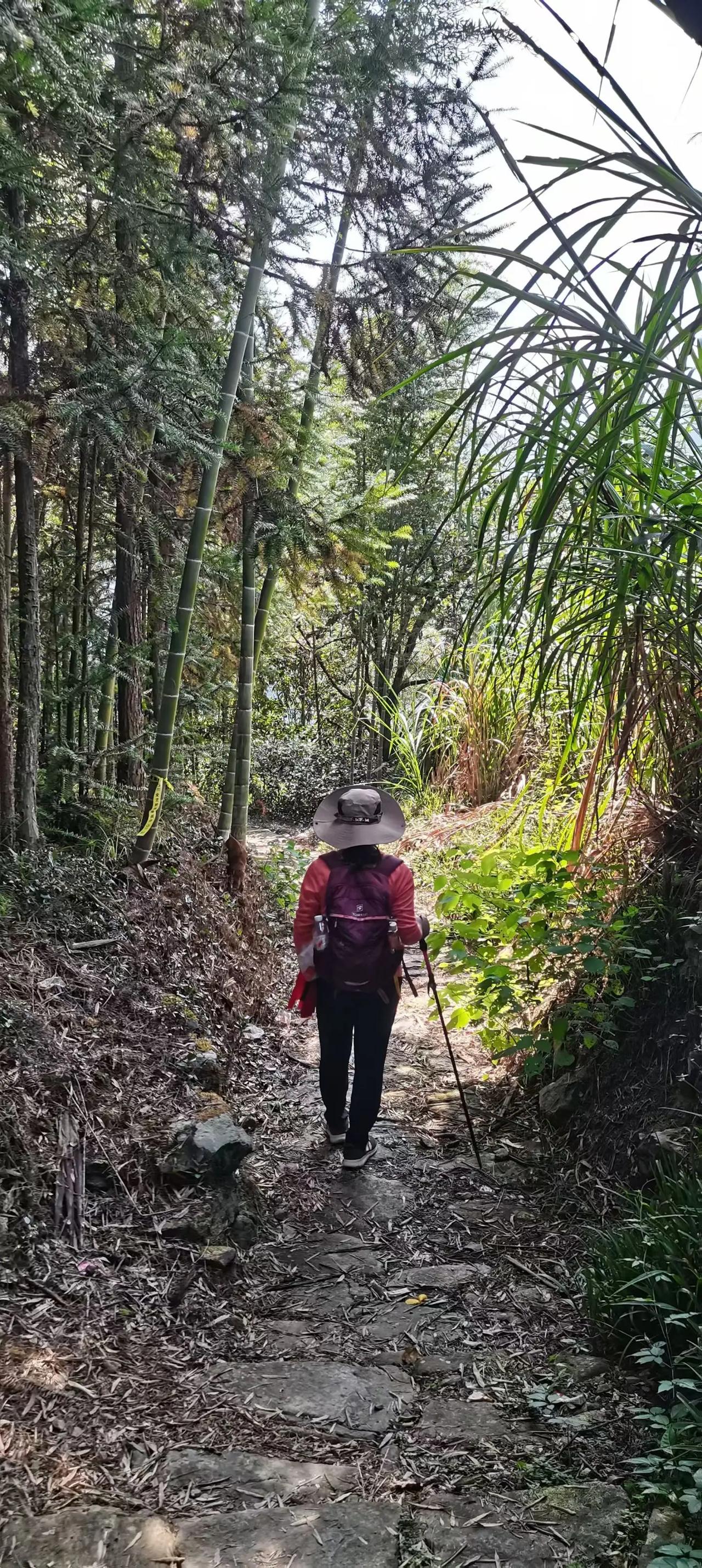 回忆2025每一个值得记录的瞬间