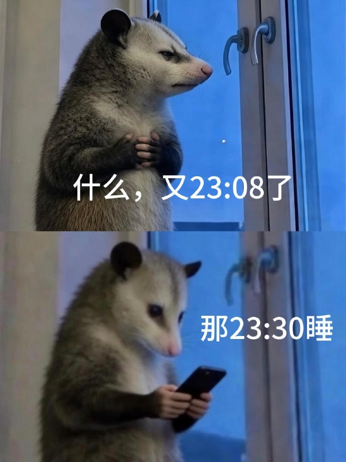 取整睡眠法害了我 