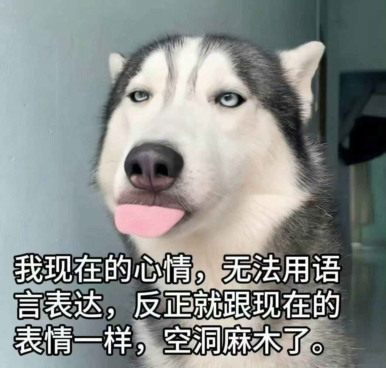 分享图片 ​​​