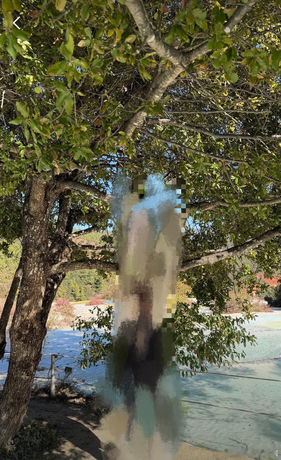 这是云南哪里求问 