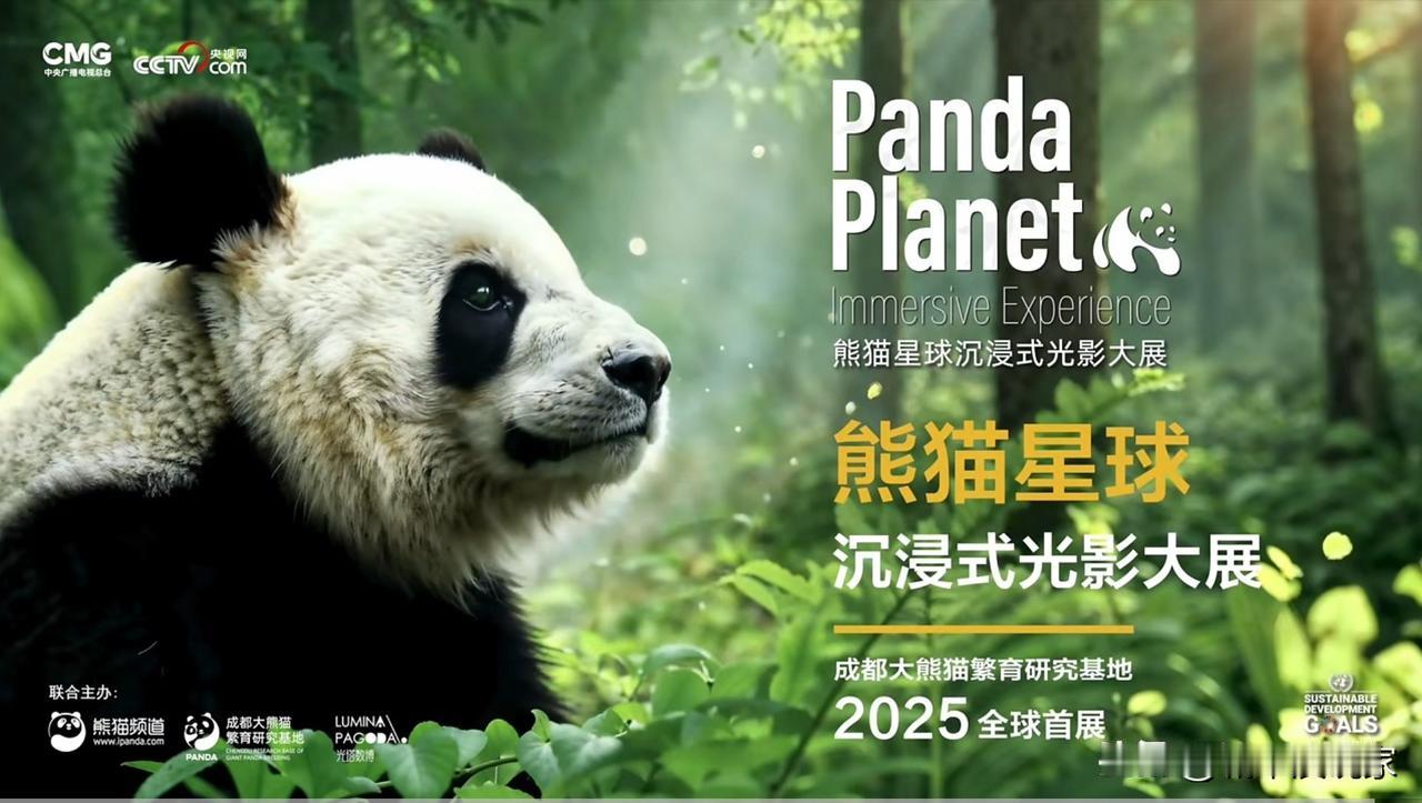 穿越40亿年史前文明，跨越800万年的场景就在成华区→熊猫国际旅游度假区沉浸式光