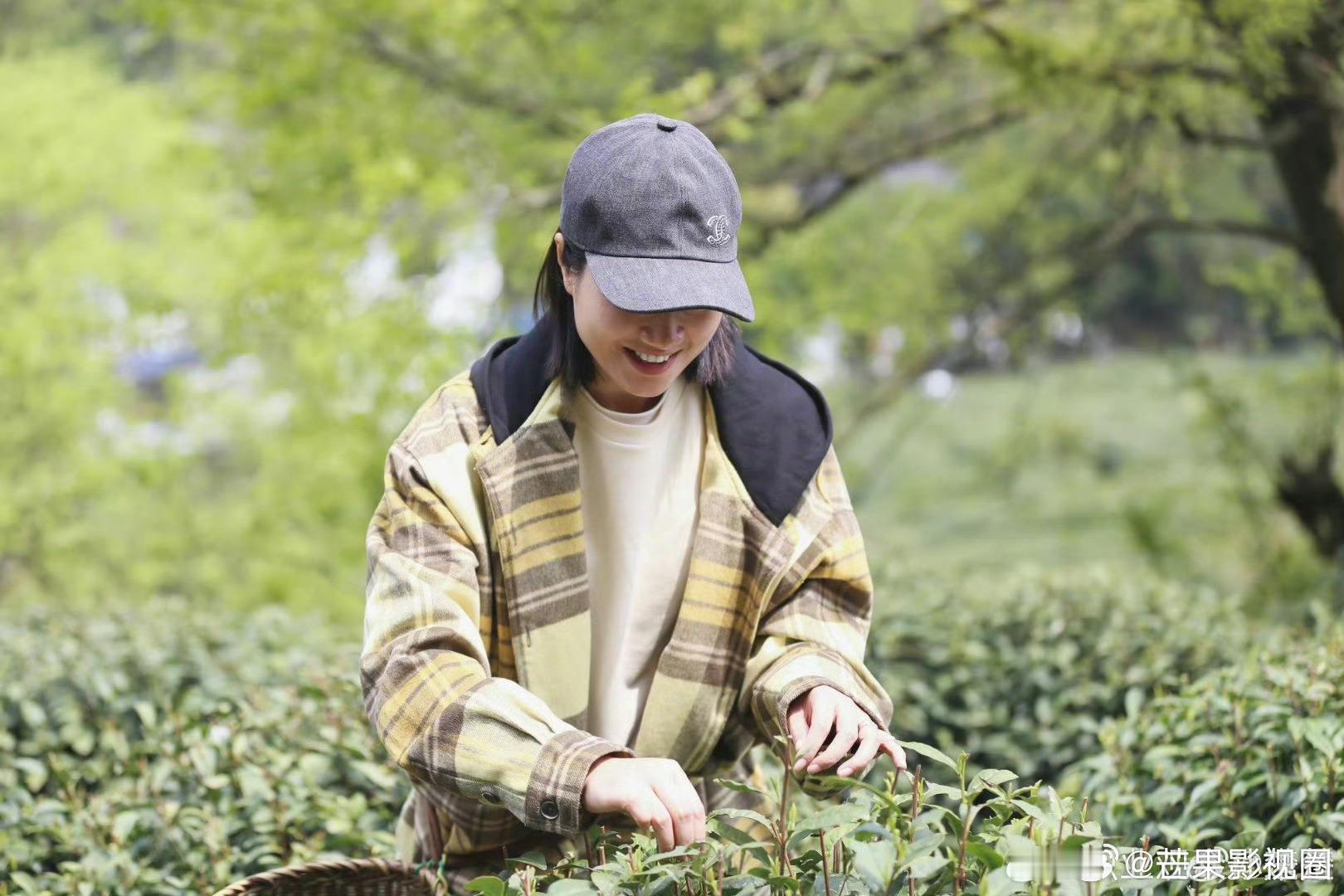 #朱丹去采茶了# 不得不说朱丹笑起来真的是太美了，姐姐的状态真的是太好了，这样惬