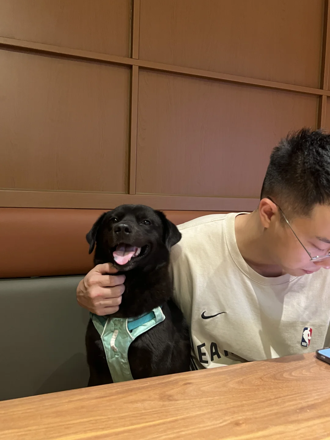 小土狗第一次去西餐厅belike