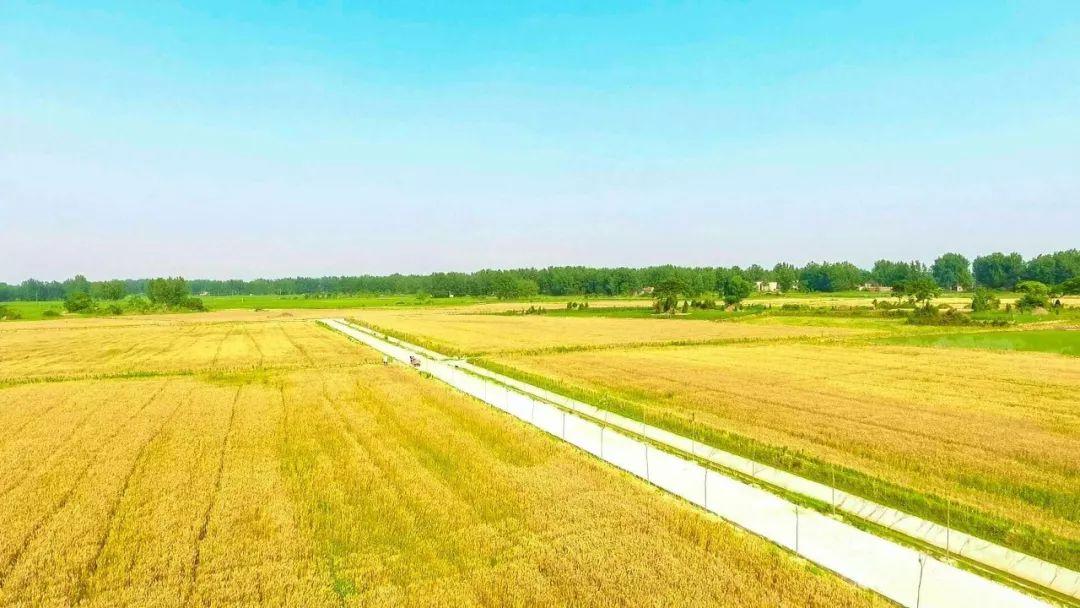 同样一片沃土，有的人挥挥衣袖，撒下几粒种子，就收获了满满的喜悦。而有的人一年四季