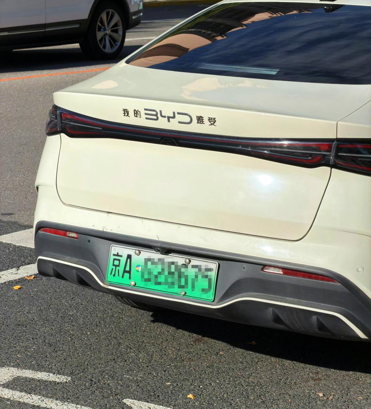 林子大了什么人都有，这是什么意思，我问你这是什么意思！