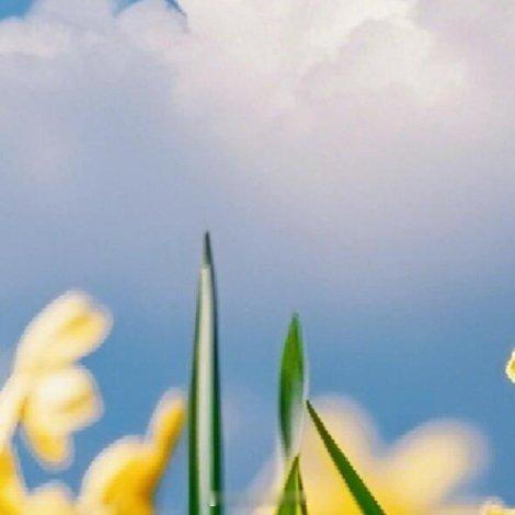 这么漂亮的年纪，为什么不让自己快乐，人生何其短，要笑得格外甜。不纠结已逝去的昨天