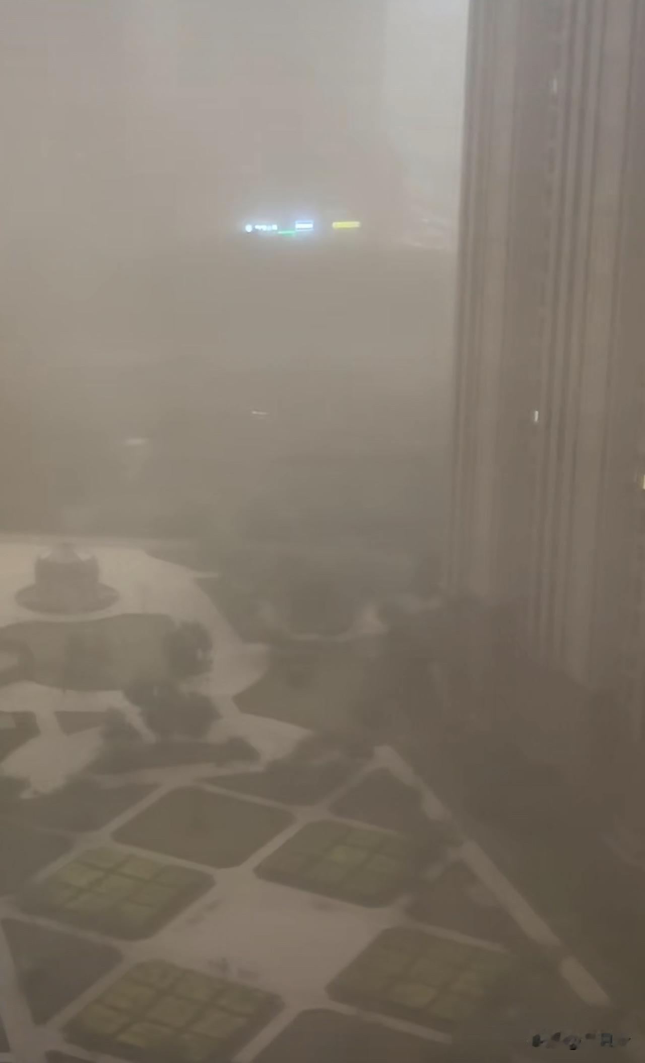 哈尔滨这大风，今天可真是开眼了！隔着窗户都能听见鬼哭狼嚎的动静，外面能见度直接干