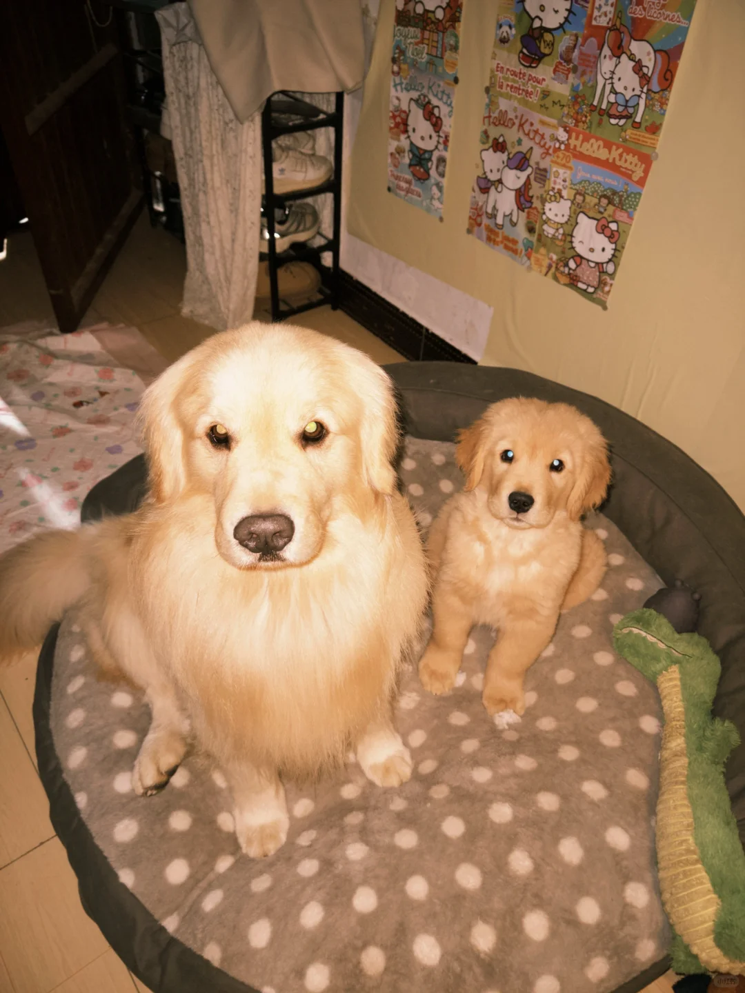 给我们哥俩拍张合照