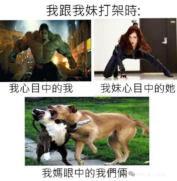 绿巨人回眸一笑，黑寡妇生死难料 