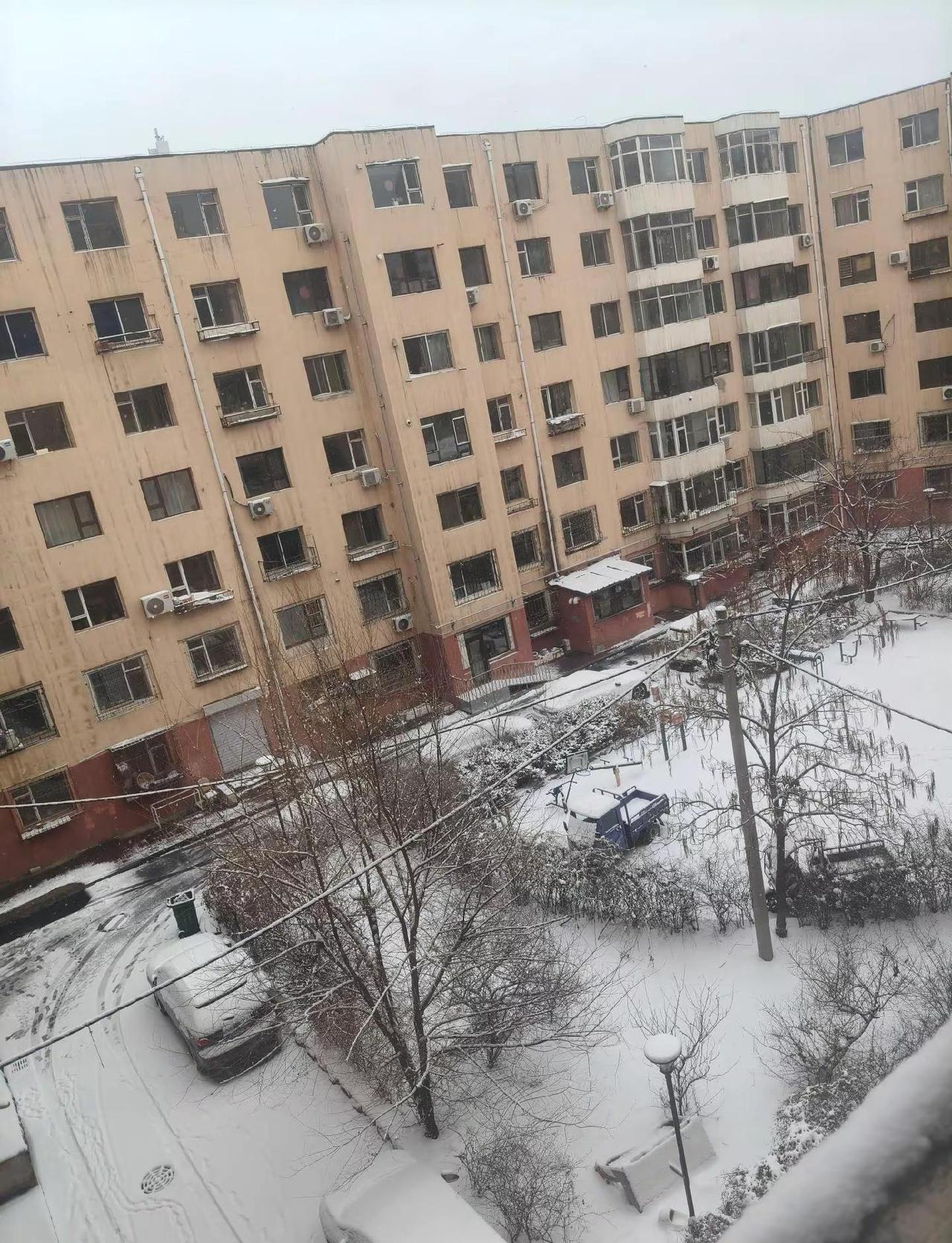 3月18号又下雪🌨️了…………