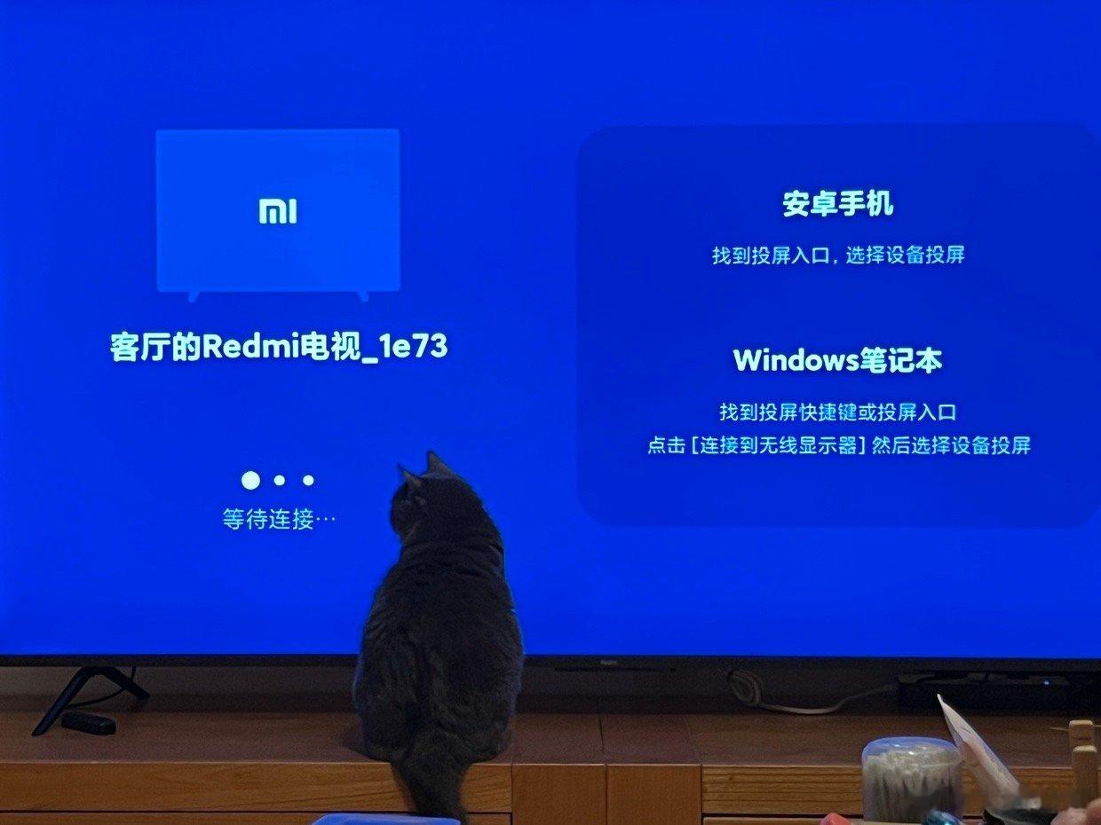 小猫咪等待连接中 ​​​