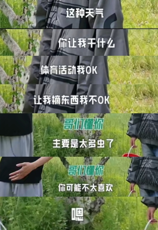 只是一个害怕🐛的小男孩 