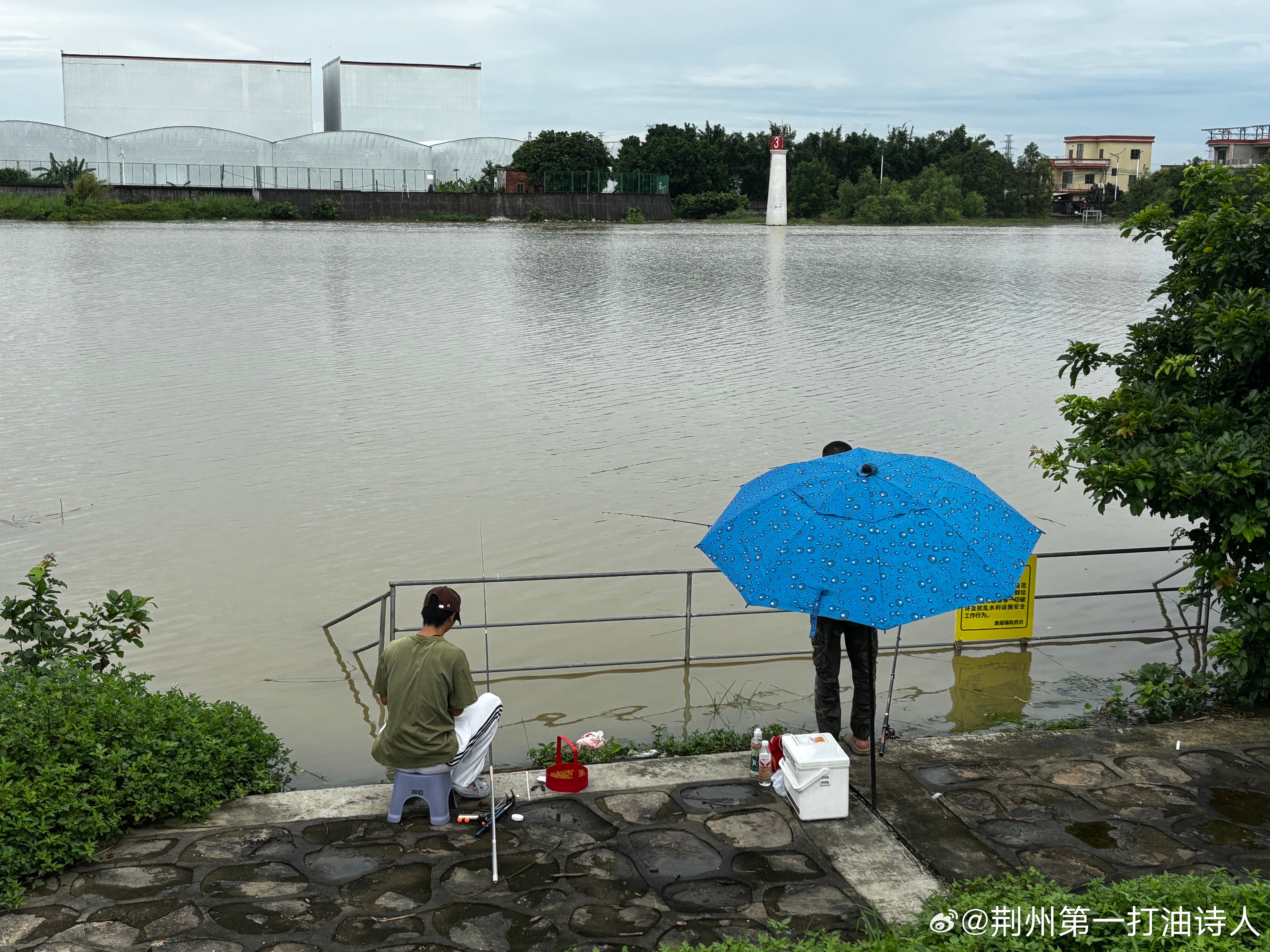 多年观鸟乐山水，摄影废图一大堆。鱼跃清波也思静，却无闲暇弄钩垂。        