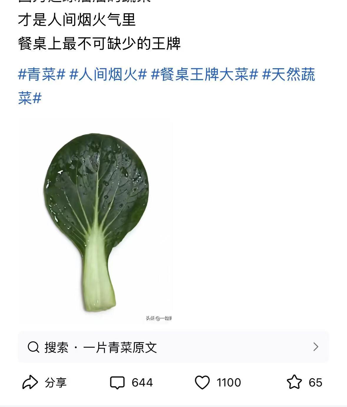 头条又惊现一位大神作者，
一个普通的无法再普通的青菜叶竟然爆了，
这泼天的流量简