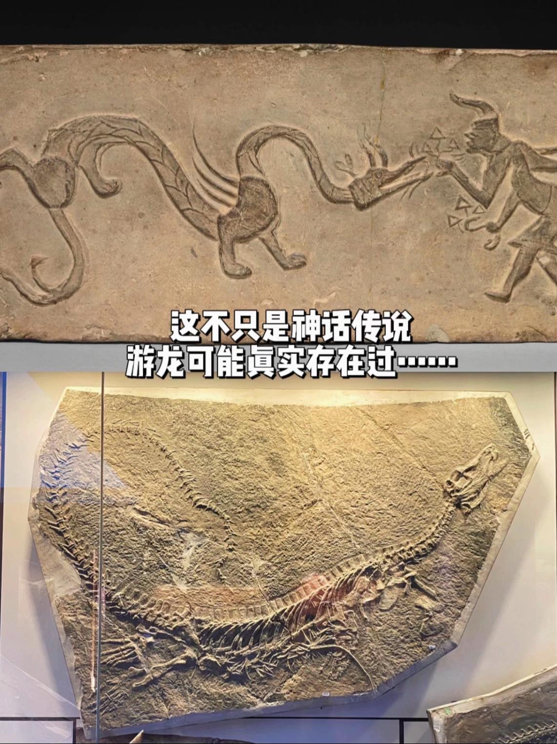 游龙可能真实存在过，龙似乎不再神秘了……