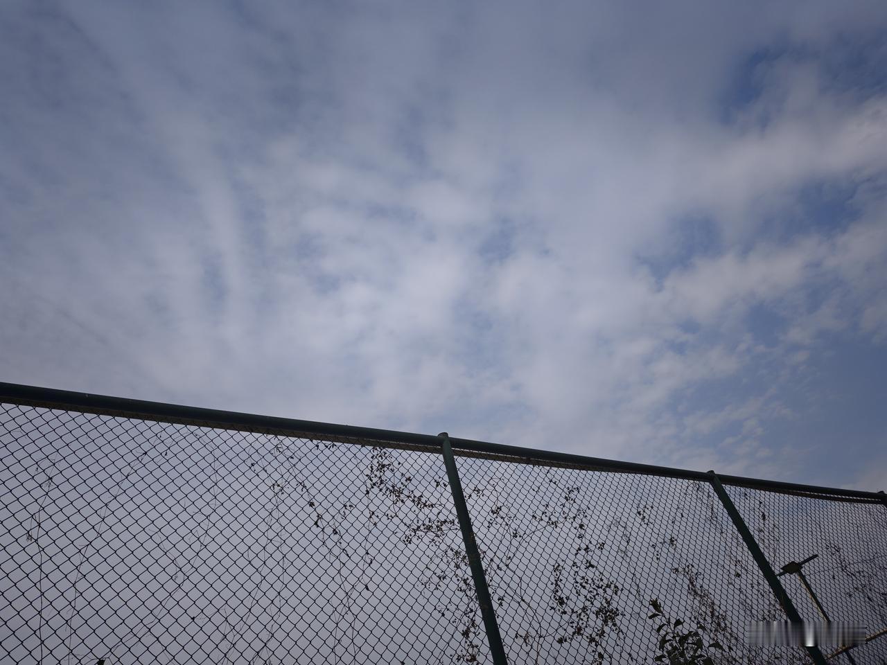 男人也应该做饭你赞成吗6. 双手赞成！两个人一起做饭，比一个人忙活有意思多了，这