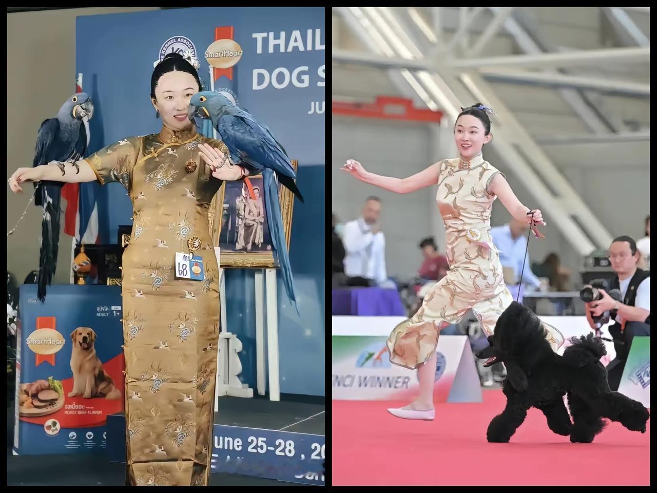 笑不活了
现在全网都在催霍思燕救救国足！
她家简直冠军生产基地，狗子霍蜜蜡拿奖拿