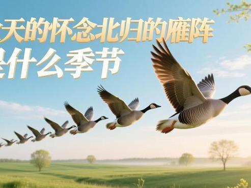 同舟共济
藏头诗
文/李兴伟
同乘一棹向前驰，
舟底凌波遇险时。
共策良谋除困厄