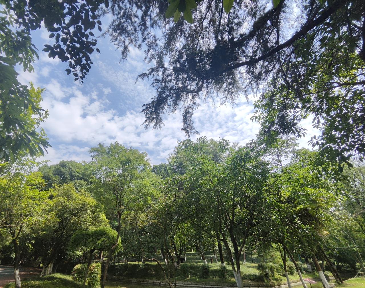 日子匆匆一晃人到中年，闲来泡茶静心感悟人生。

年轻的时候总想闯出一番名堂，看重