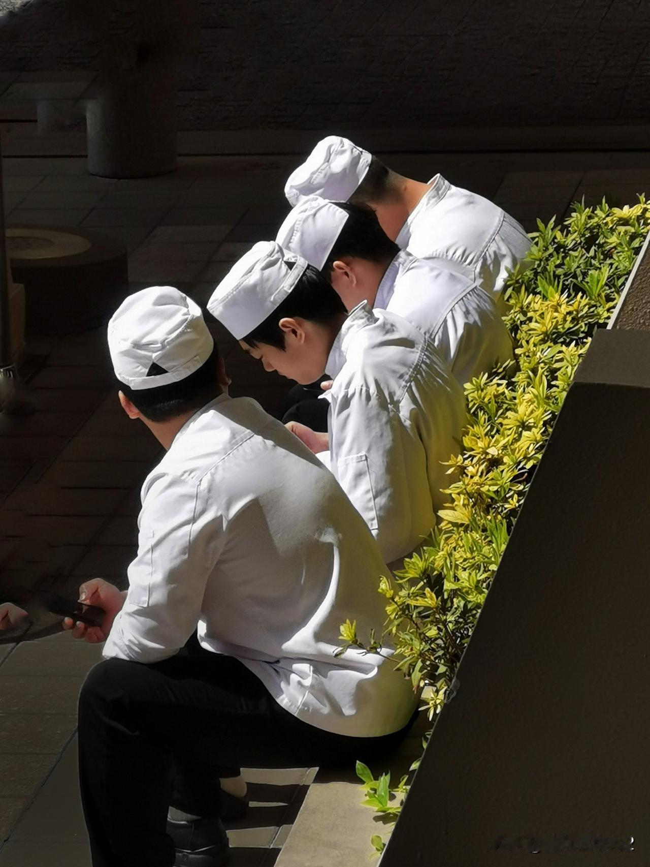 午餐的邻桌是老外，神仙服务员，还有统一刷手机的大厨。

昨天午餐时，邻桌是一个老