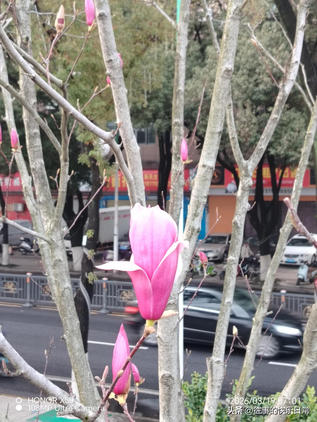 如何看待现在流行的老年大学活到老学到老