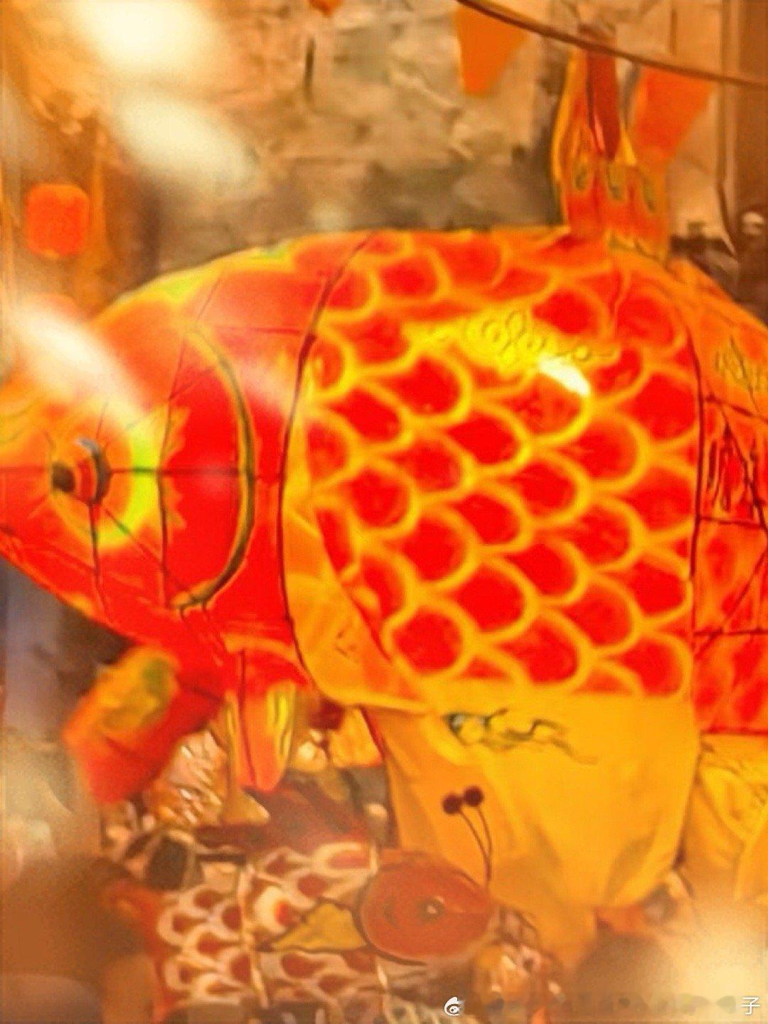 照亮前路，年年有余 