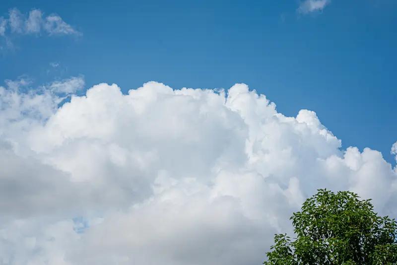 善心是金

莎士比亚曾说：
善良的心地，
就是黄金。

秦末韩信家穷人贫，
寄人