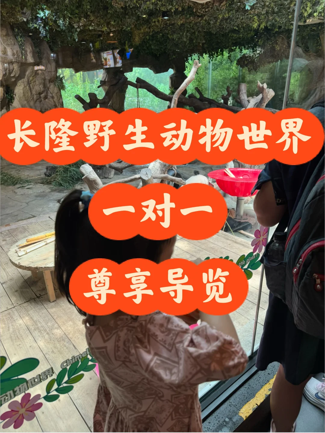 长隆野生动物世界尊享导览