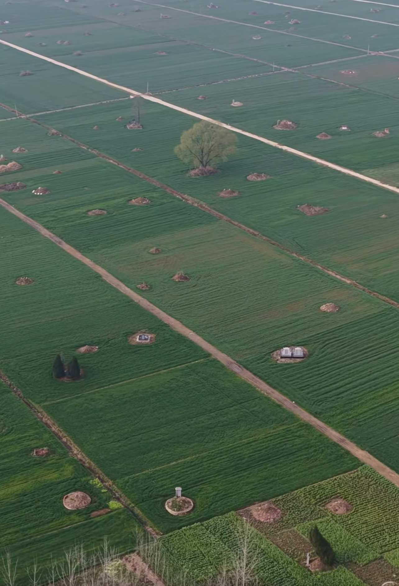 猜猜这是哪个地区 