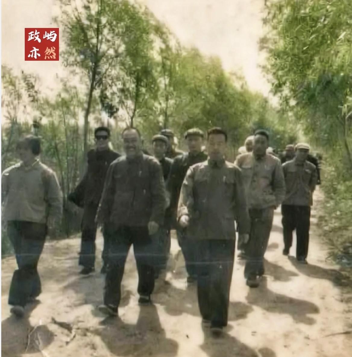 从宁晋县本土走上来的父母官张永和
……………………………………………………………