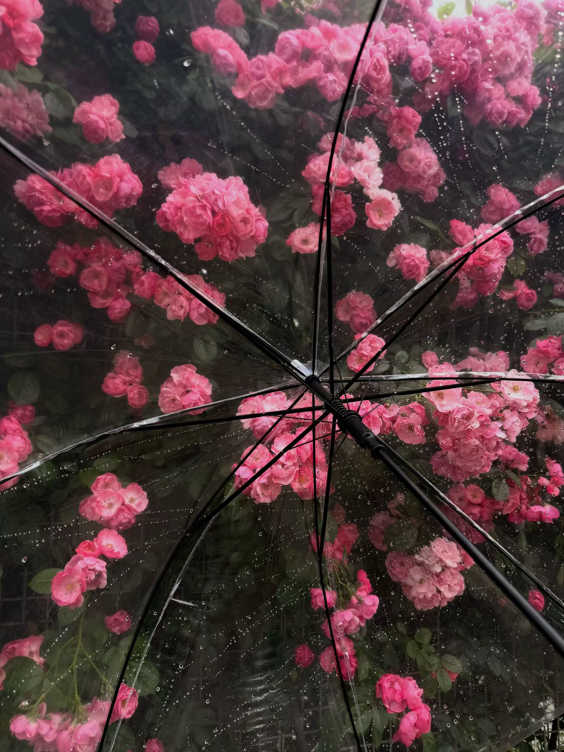 昨日北京的雨午后开始一直没停大且持续之久往年都得七月份才有这样的雨量今年天气真的