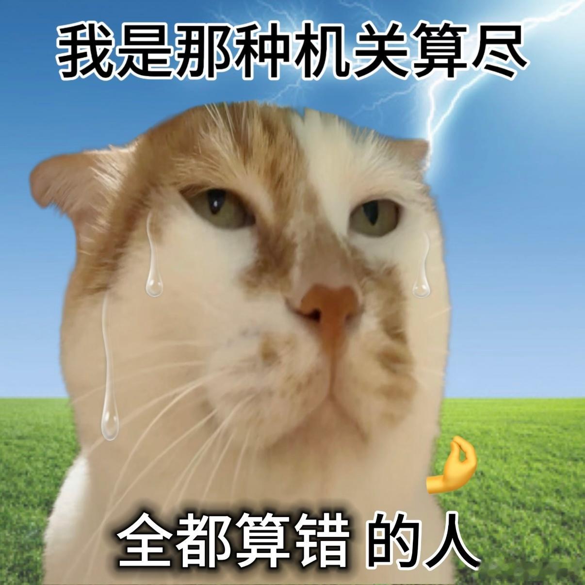 我： 