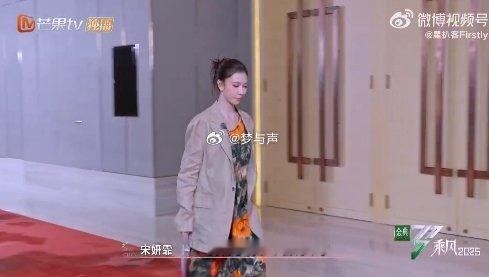 宋妍霏选人环节 乘风2025第四次分组 宋妍霏虽在选人过程中遭遇挫折，但她的积极