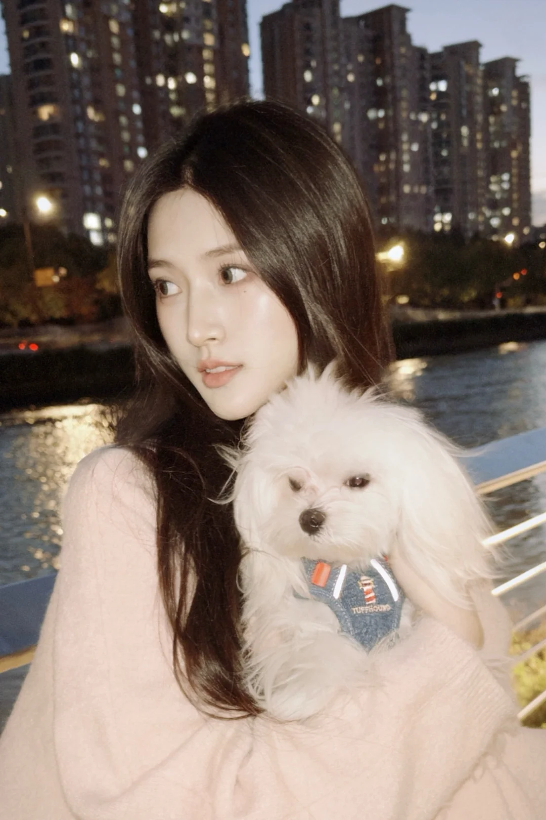 相遇是瞬间的倾盆