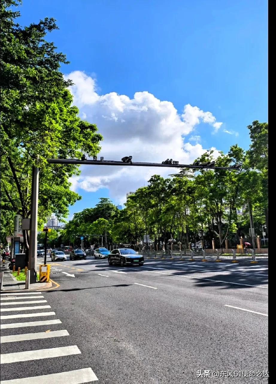 给大家提个醒。
明天就是7月25日正式进入中伏，大家一定要重视，因为这是个长达4